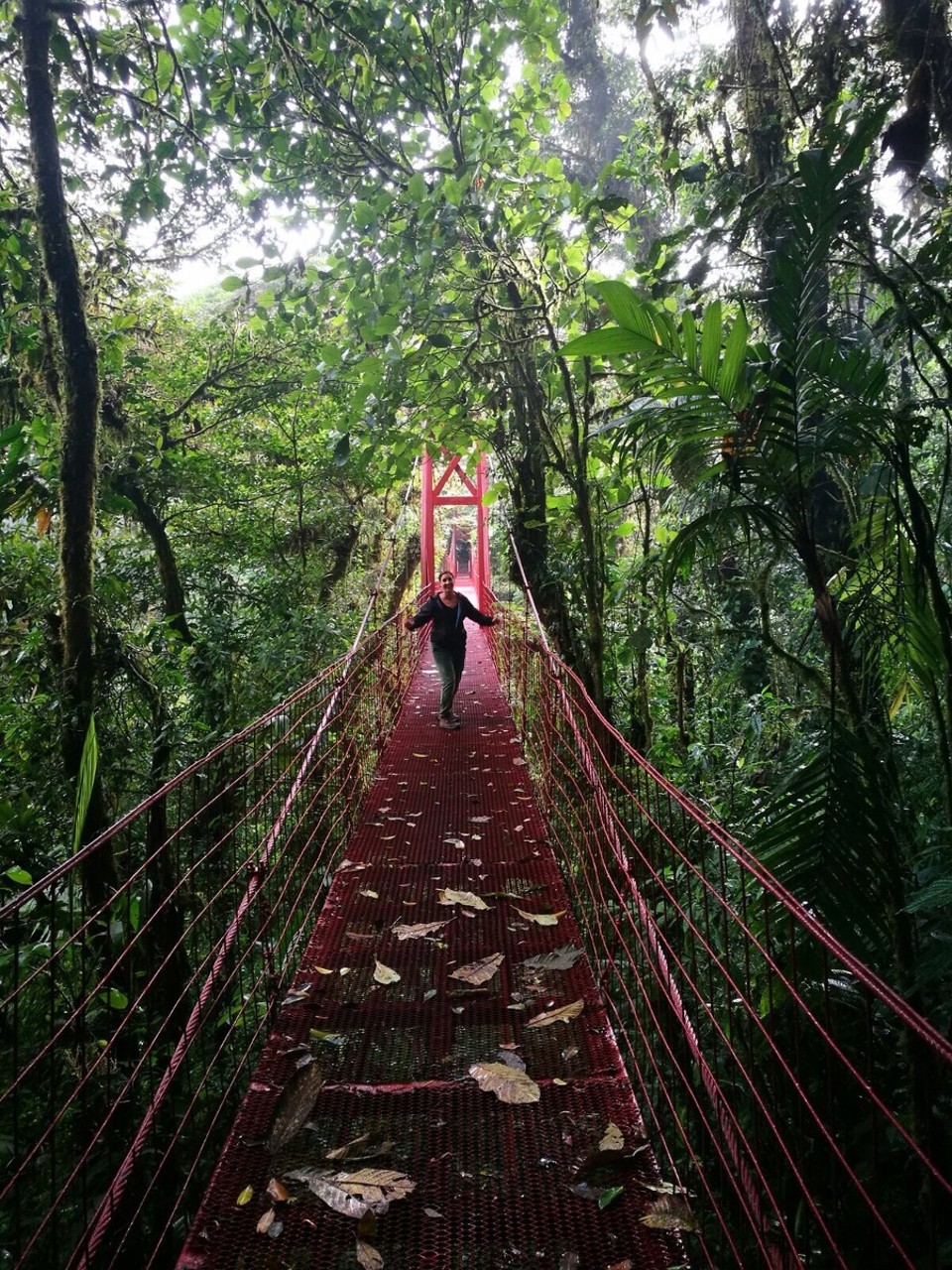Costa Rica -  - 