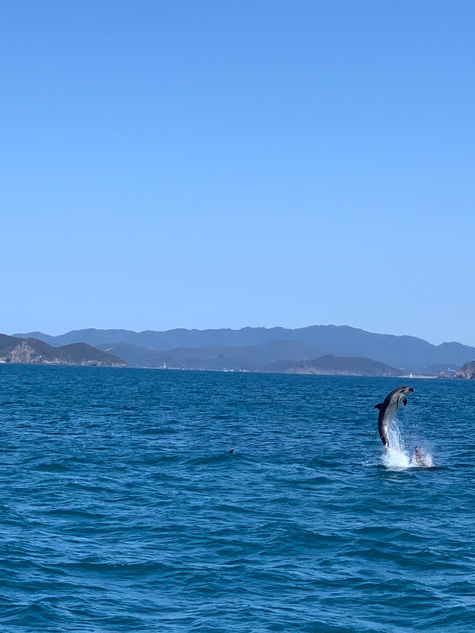 Neuseeland - Paihia - 