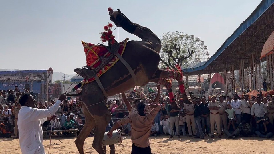 Indien - Pushkar - Let’s Dance…
