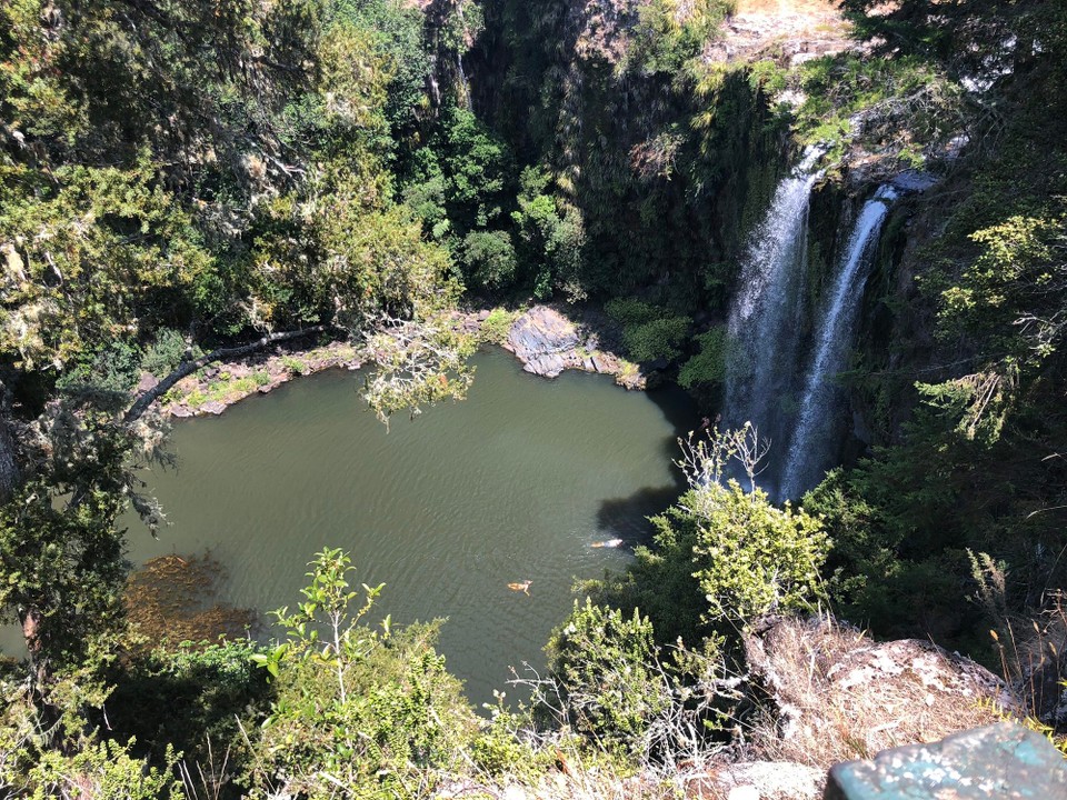 Neuseeland - Whangarei - 