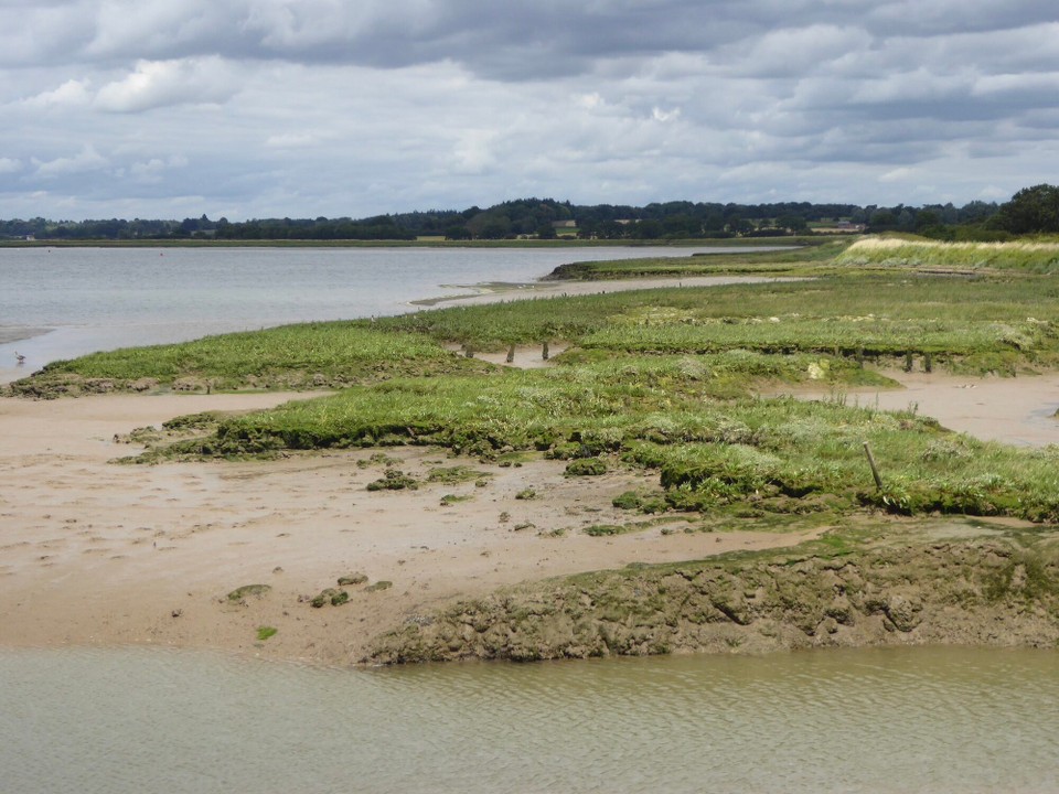 United Kingdom - Woodbridge - Thinking we could walk to the pub via a less straightforward route we set off, only to discover what was shown as a path on our OS app is not a public right of way.