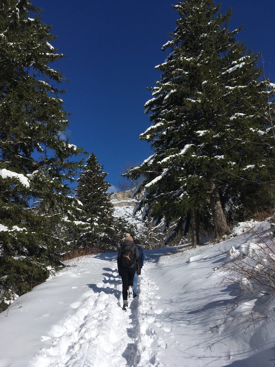 Frankreich - Villard de Lans - 