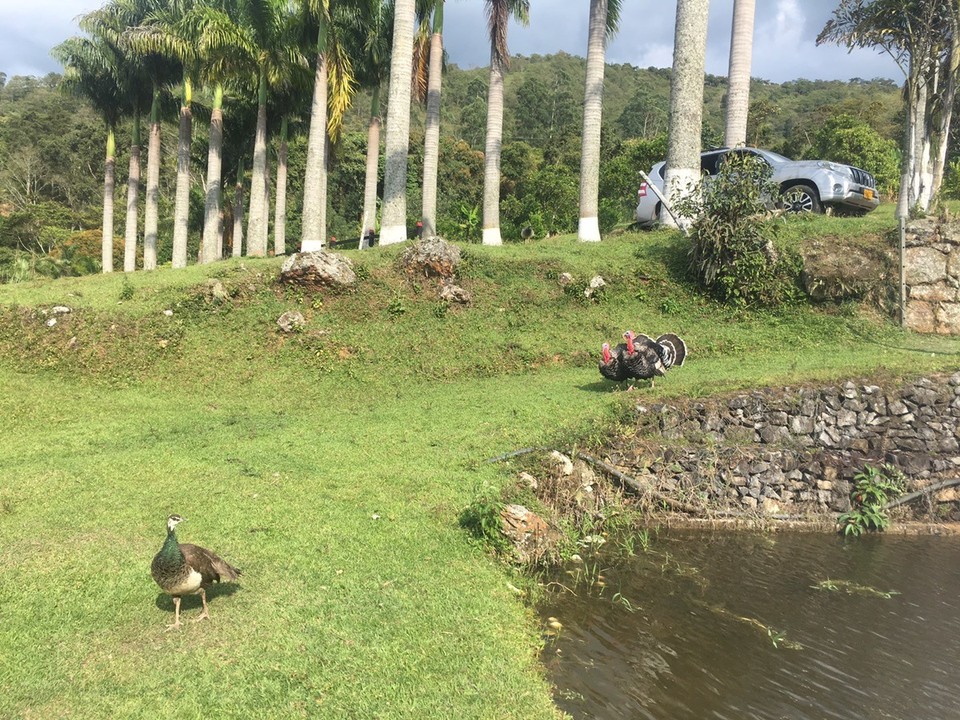  - Confines, Santander, Colombia - 