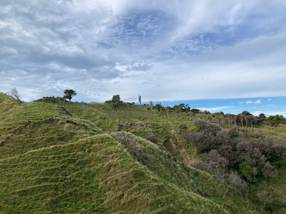 Neuseeland - Tolaga Bay - 