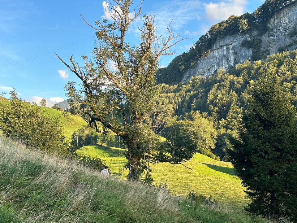 Schweiz - Seelisberg - 