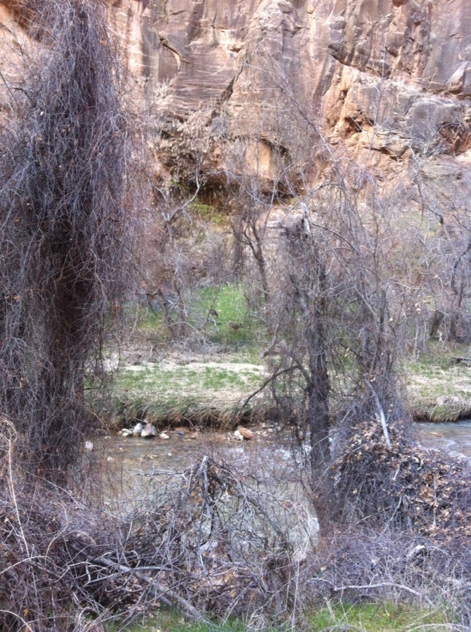 Egyesült Államok - Springdale - 