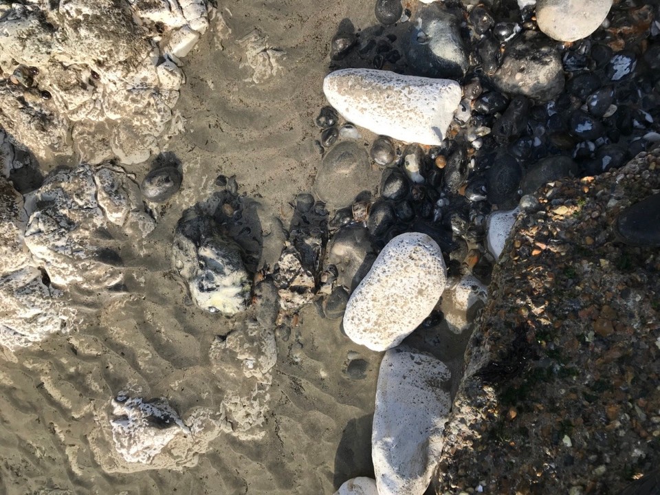 Vereinigtes Königreich - Brighton - 