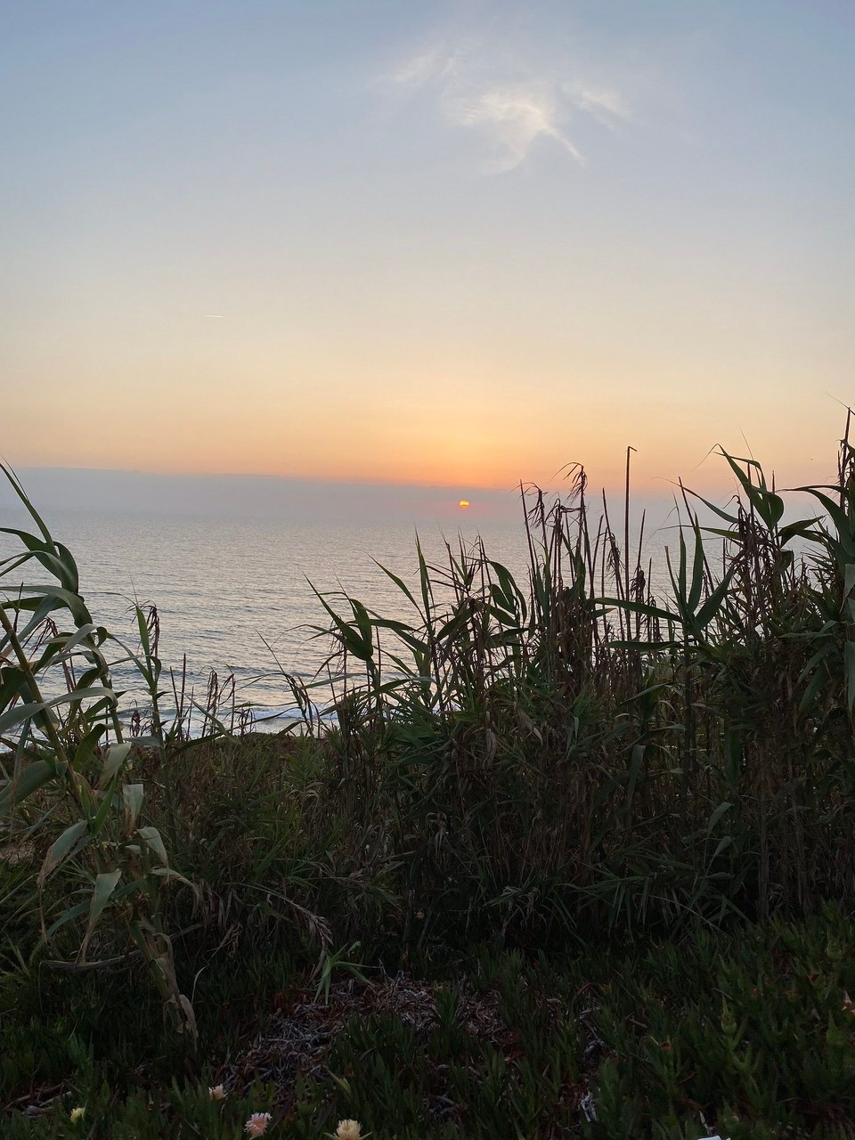Portugal - Carvoeira - 