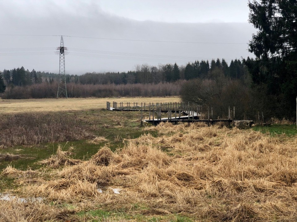 Deutschland - Morbach - 