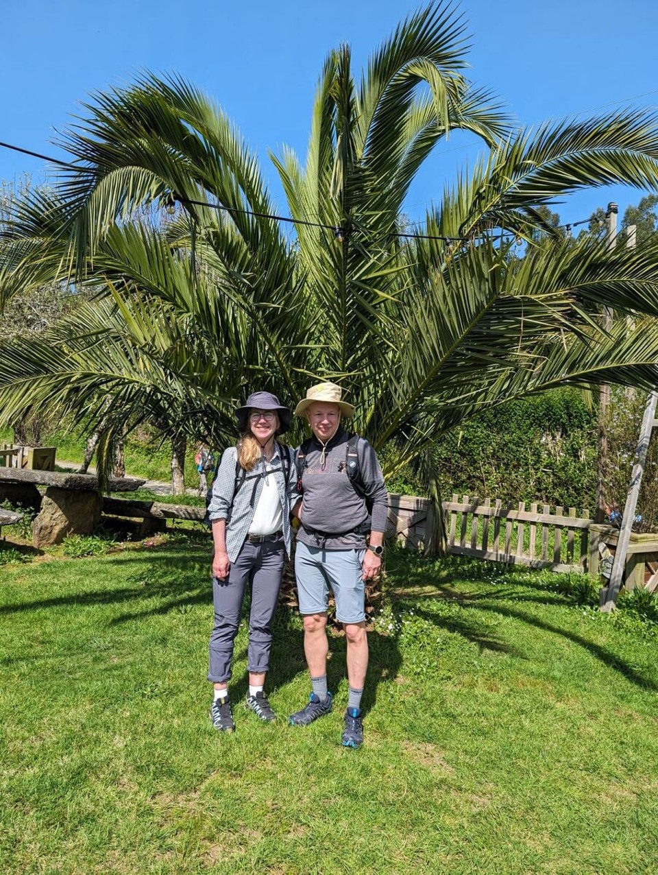 Spanien - O Pino - Unter Palmen