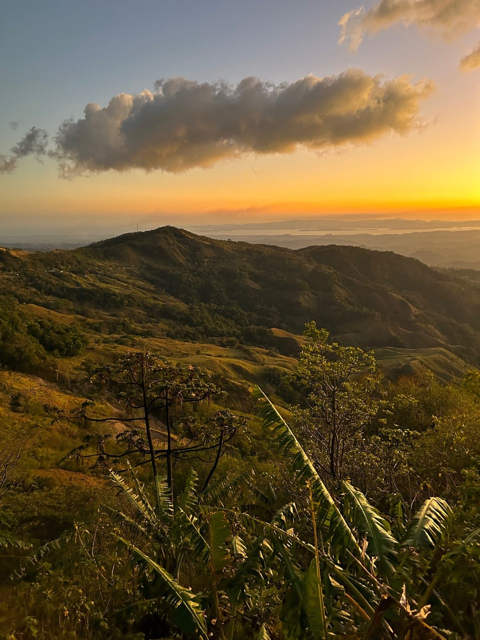 Costa Rica - Monteverde - 