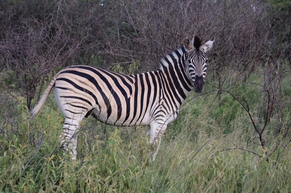 Südafrika - Richards Bay - 