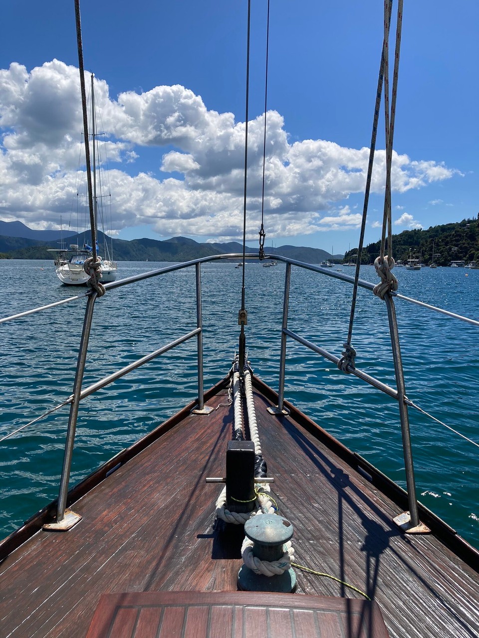 Neuseeland - Marlborough Sounds - 
