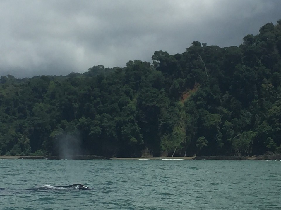 Costa Rica - Aguirre - 