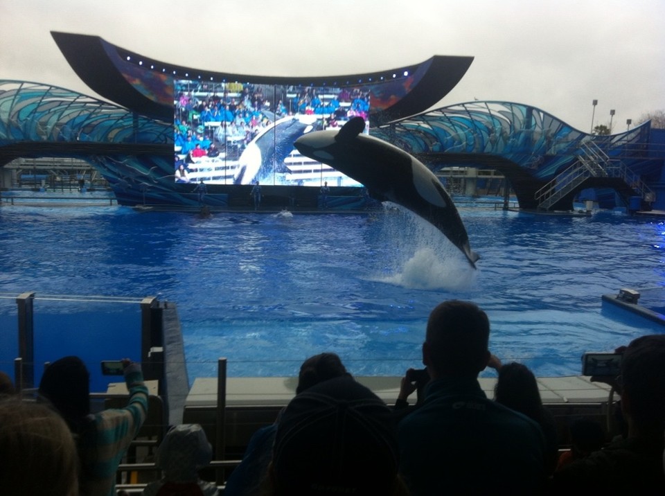 Egyesült Államok - Orlando - 