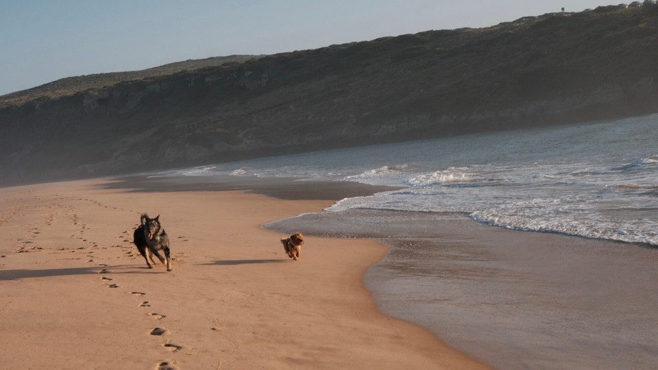 Portugal - Aljezur - 