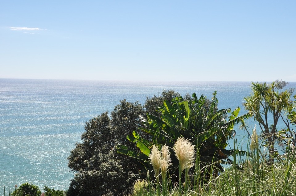 Neuseeland - Waitomo - 