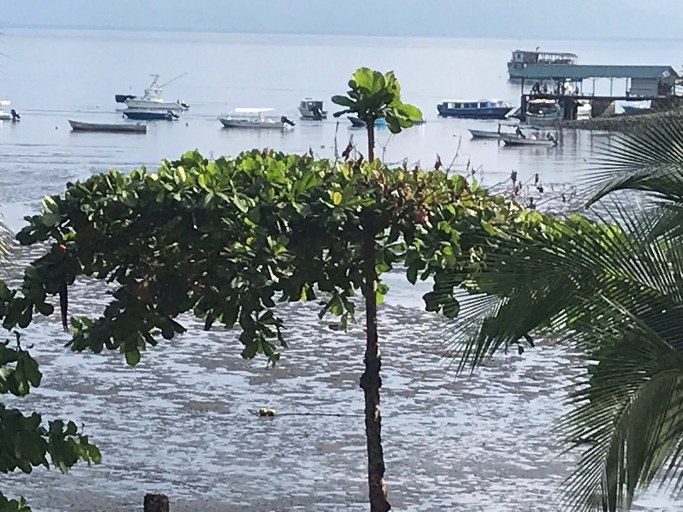 Costa Rica - Golfito - 