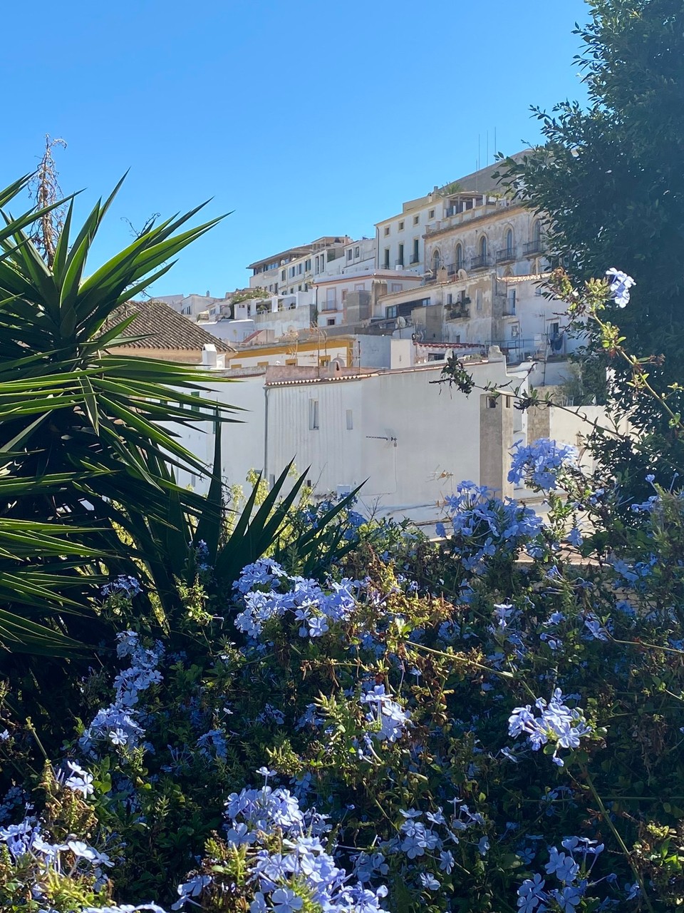 Spanien - Ibiza - 