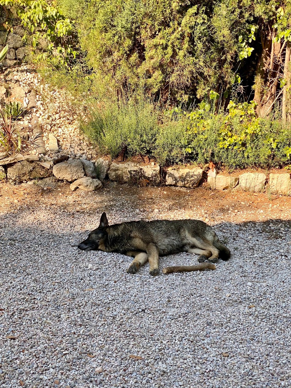 Frankreich - Tourrettes - 
