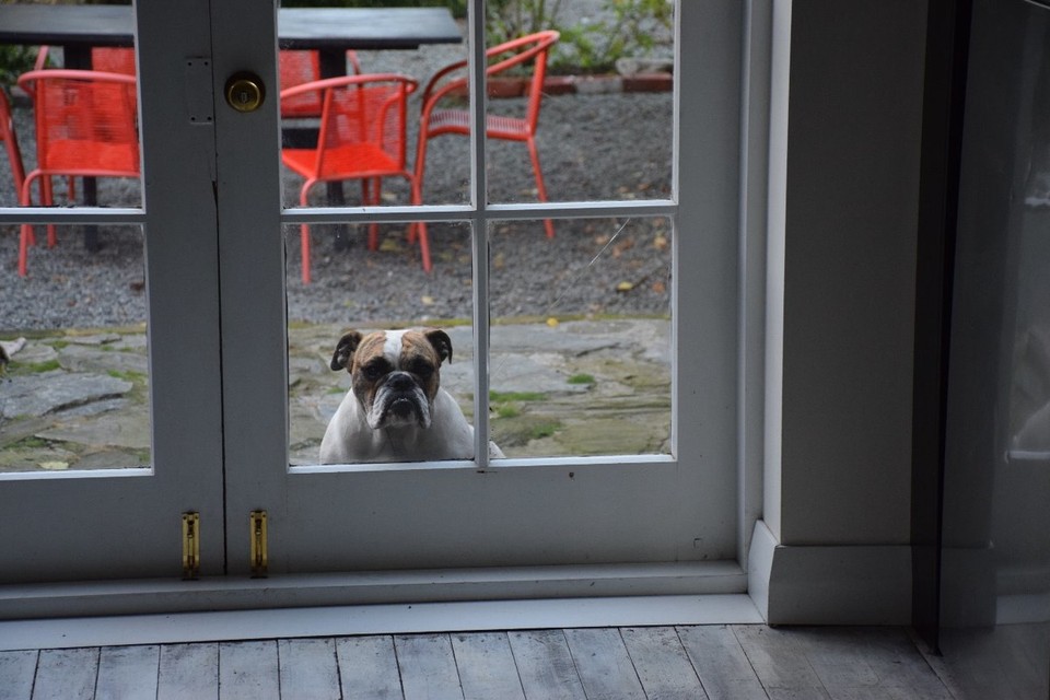 Neuseeland - Timaru - Beatrix wohnt hier auch und würde uns bestimmt gerne im Wohnzimmer Gesellschaft leisten...