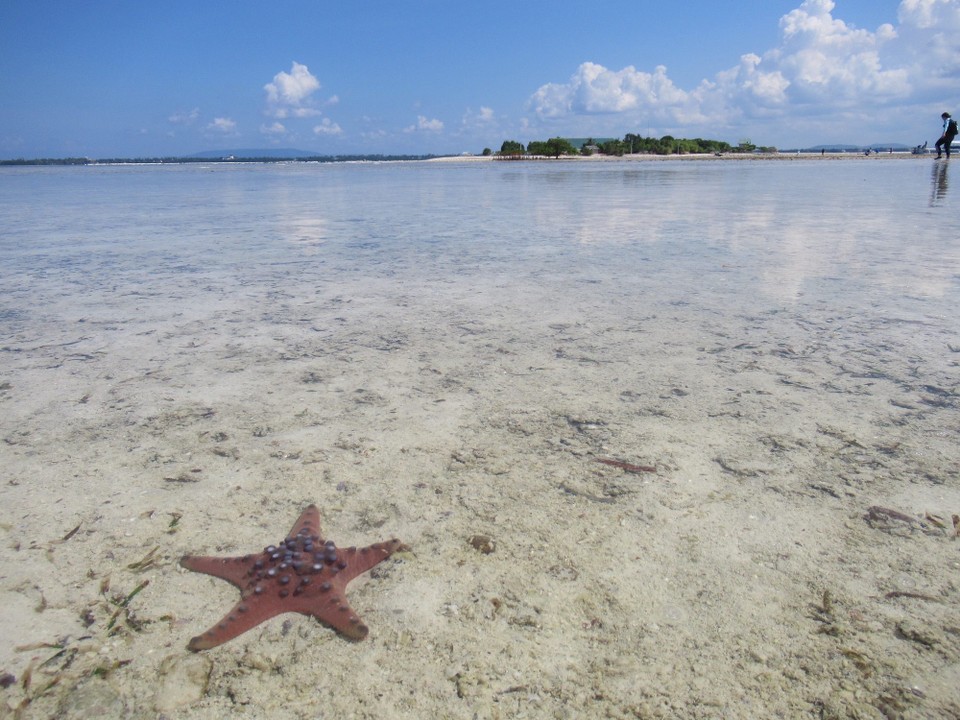 Philippinen - Panglao - Info: Auch wenn nicht sichtbar auf dem Bild... das Kerlchen ist gänzlich im seichten Wasser und nicht dem Austrocknungstod nahe👍🏻😄