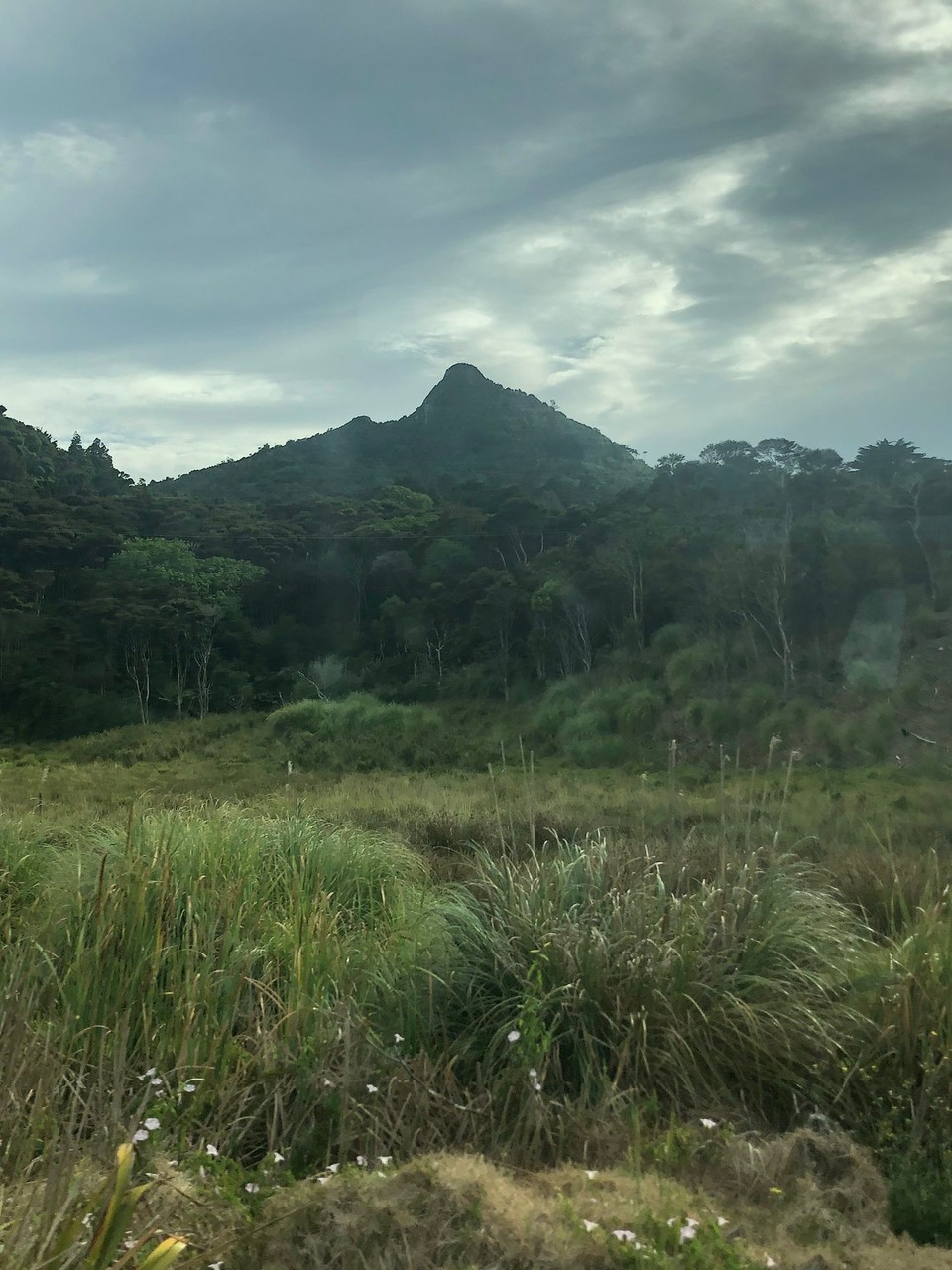 Neuseeland - Orakei - Gegend um Matakohe
