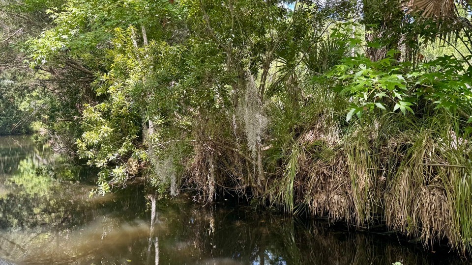 Vereinigte Staaten - Crystal River - 