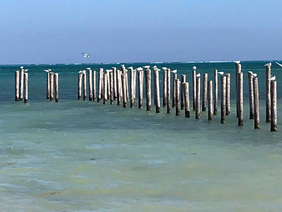 Belize - San Pedro - 