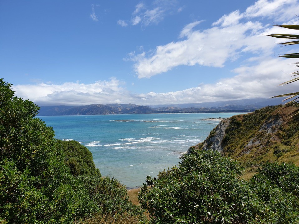 Neuseeland - Kaikoura - 