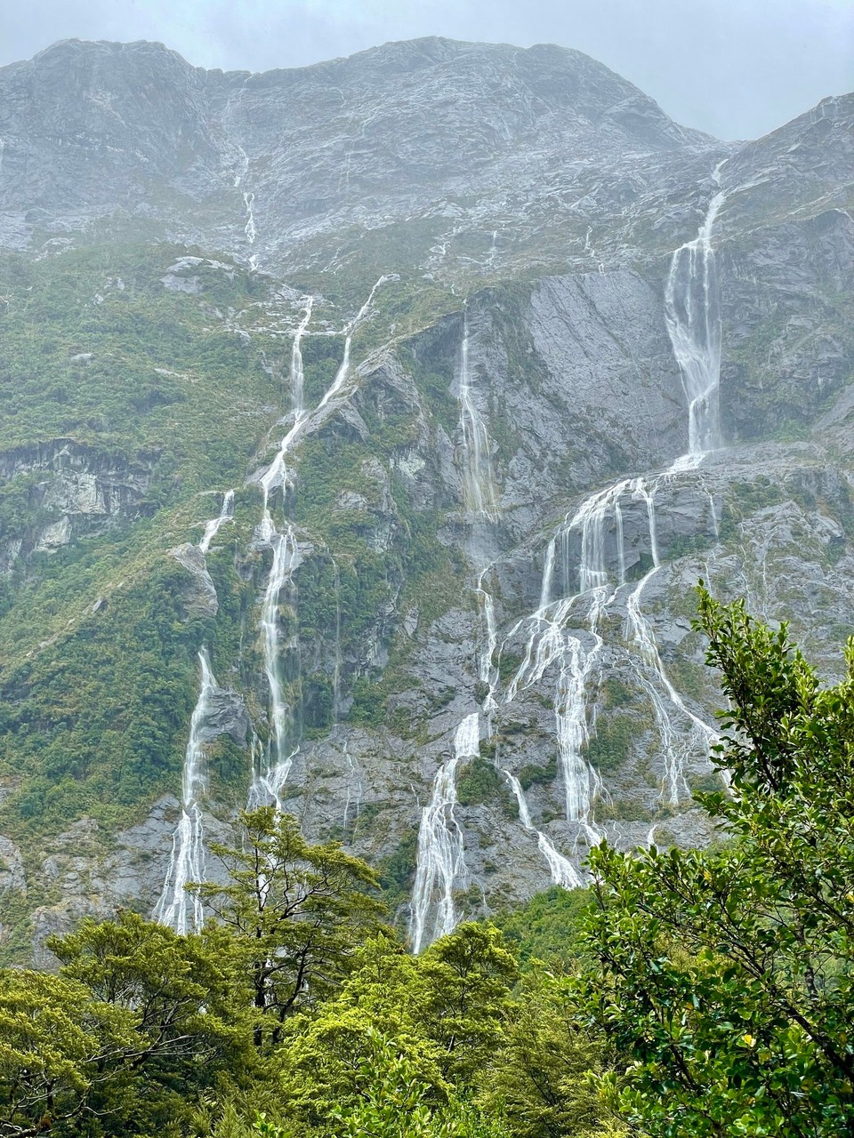 Neuseeland - Milford Sound - 