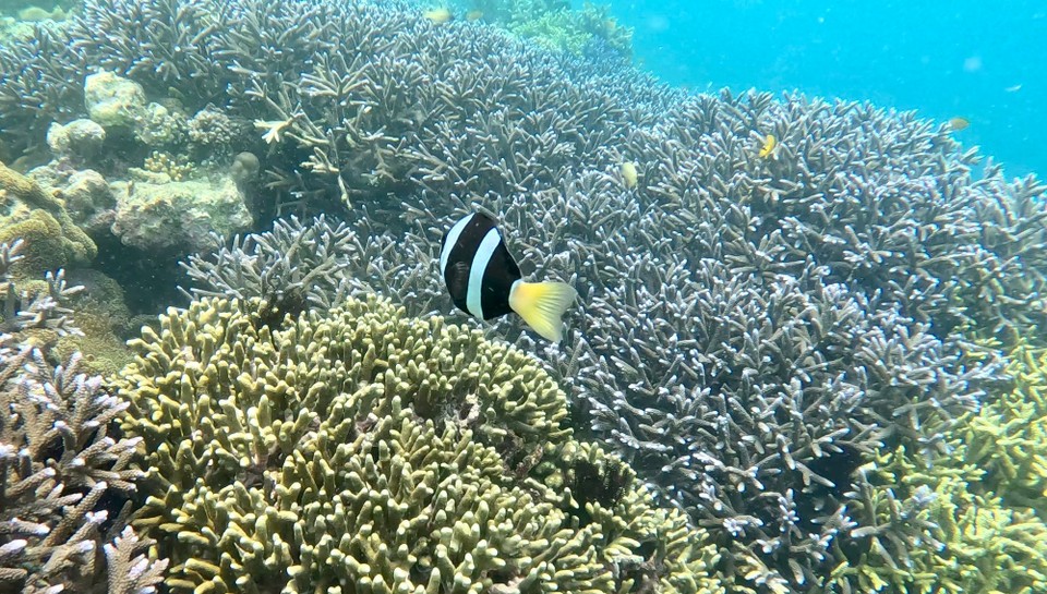 Indonesien - Kabupaten Lombok Barat - 