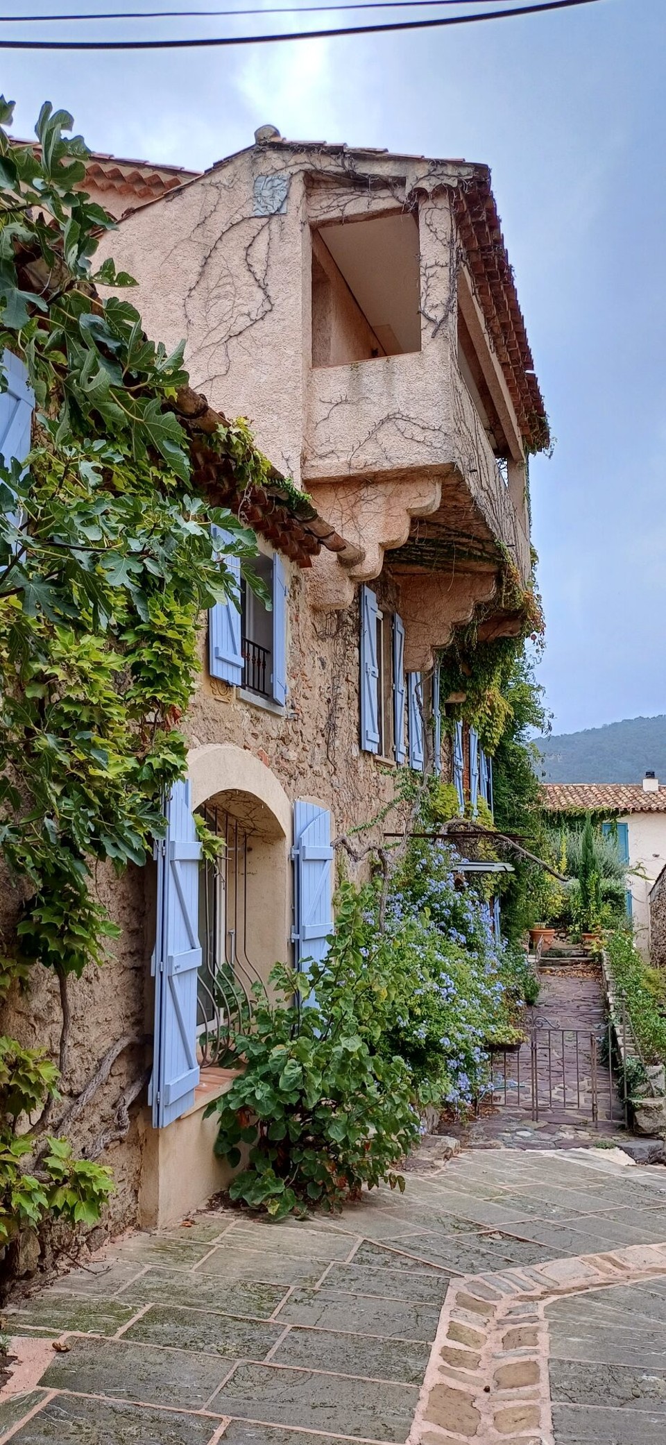Frankreich - Grimaud - 