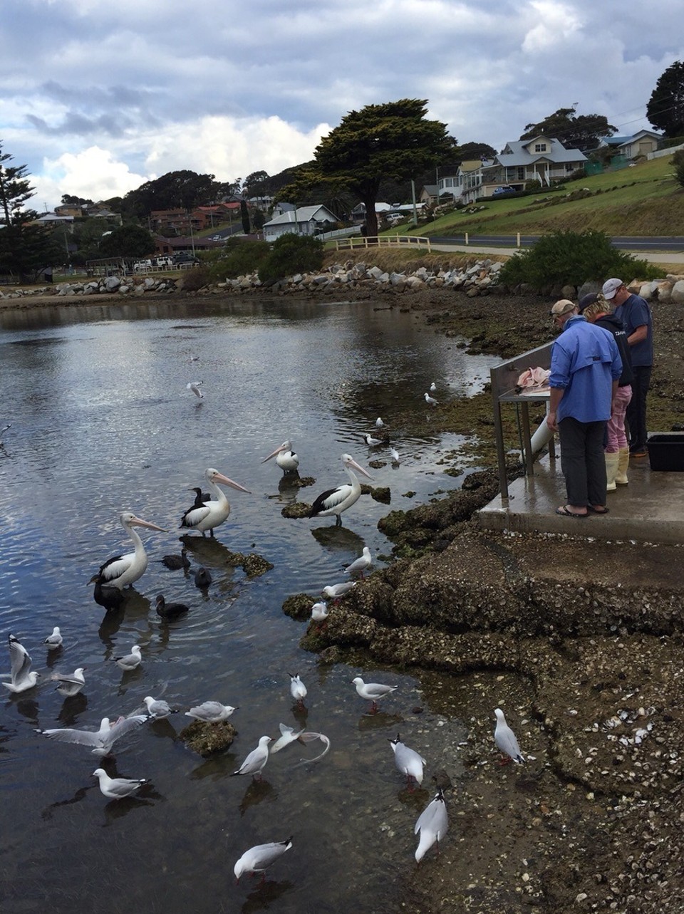 - Australia, Narooma, BIG4 Narooma Easts Holiday Park - 
