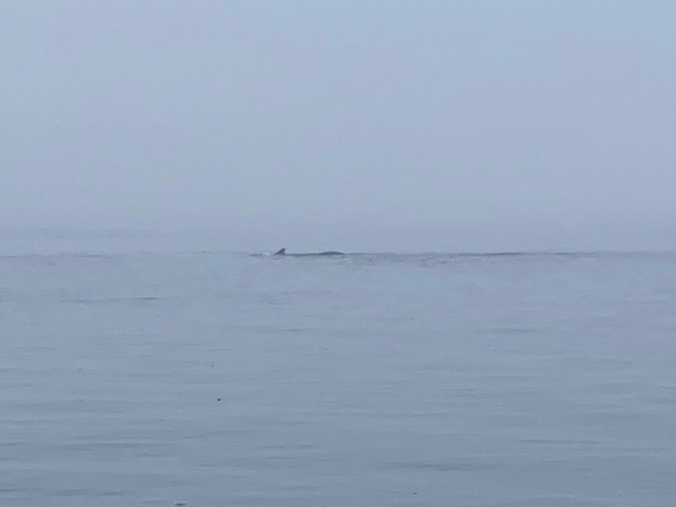 Kanada - Mount Waddington D - 