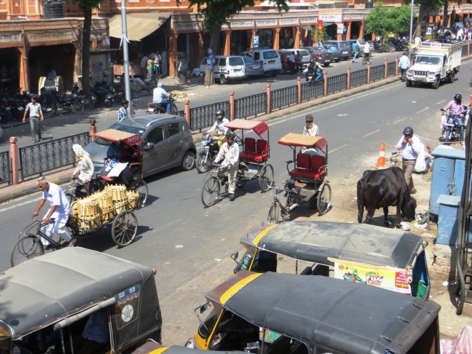 India - Jaipur - 