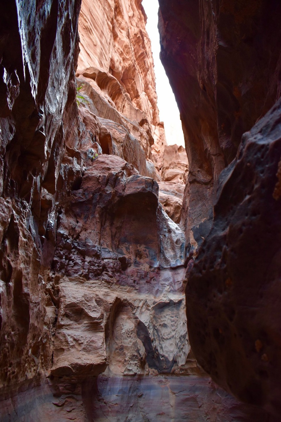 Jordanien - Al-aqabah - Zum Teil kann man in diese Felsen hineingehen und die seltenen Wasserläufe verfolgen.