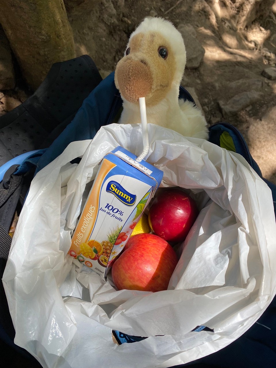 Mauritius -  - Obstpause