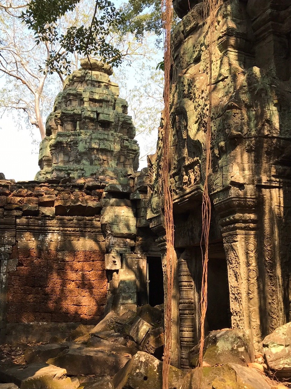 Cambodia -  - Ta Prohm (aka Tomb Raider Monument)