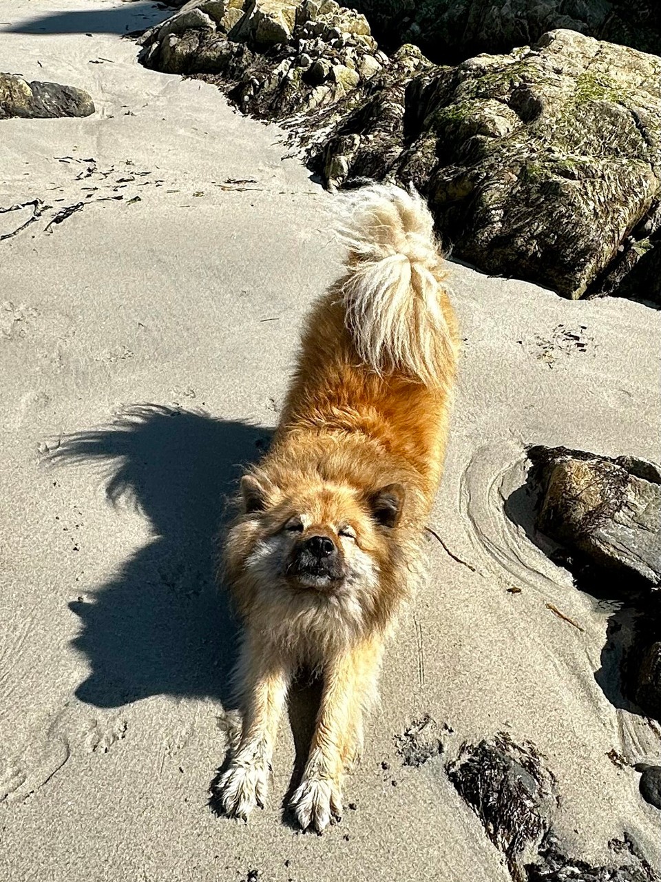 Frankreich - Plouarzel - 