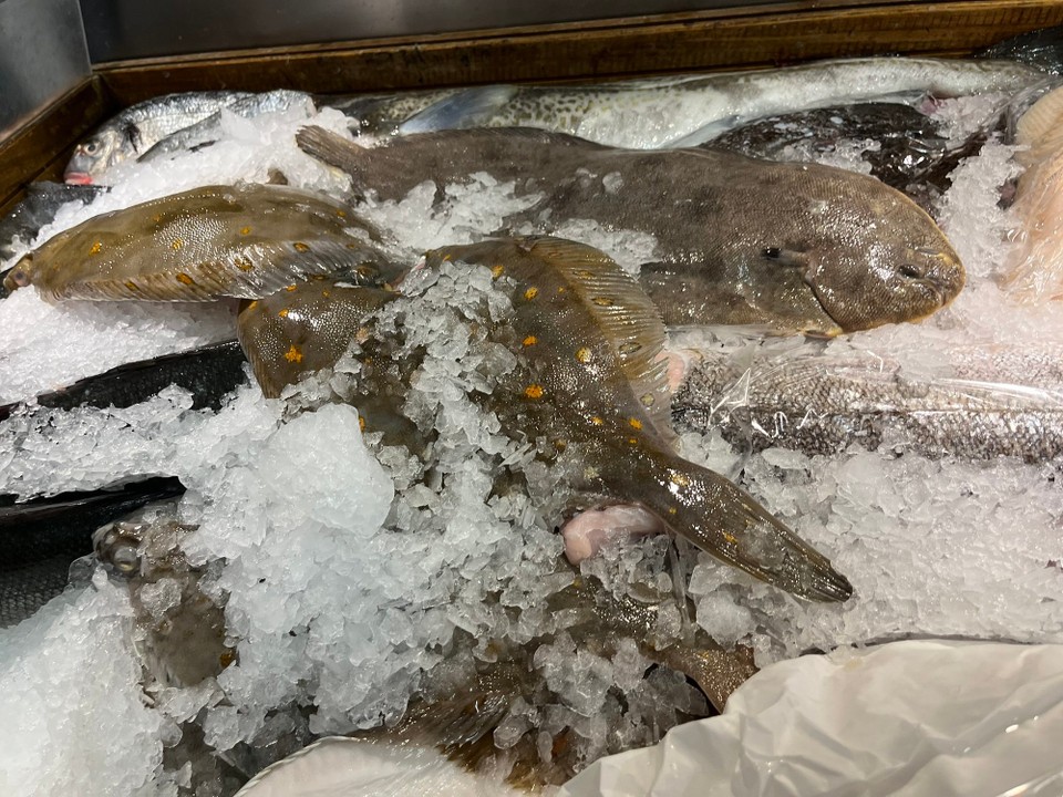 Deutschland - Hamburg - Am Fischmarkt Matjesheringe essen!