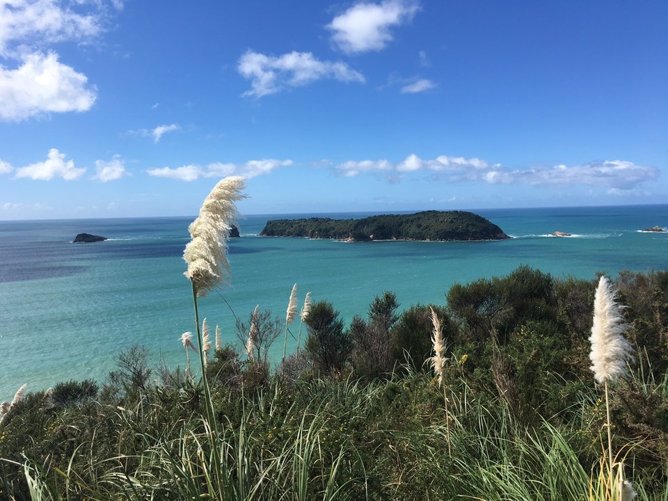 Neuseeland - Coroglen - Das hier ist auf dem Weg zur cathedral cove....großartiger Ausblick 