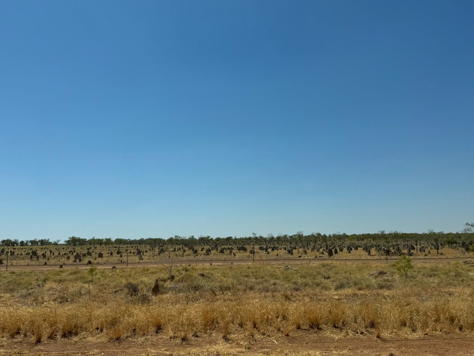 Australien - Ryan - Termitahügel soweit das Auge reicht.