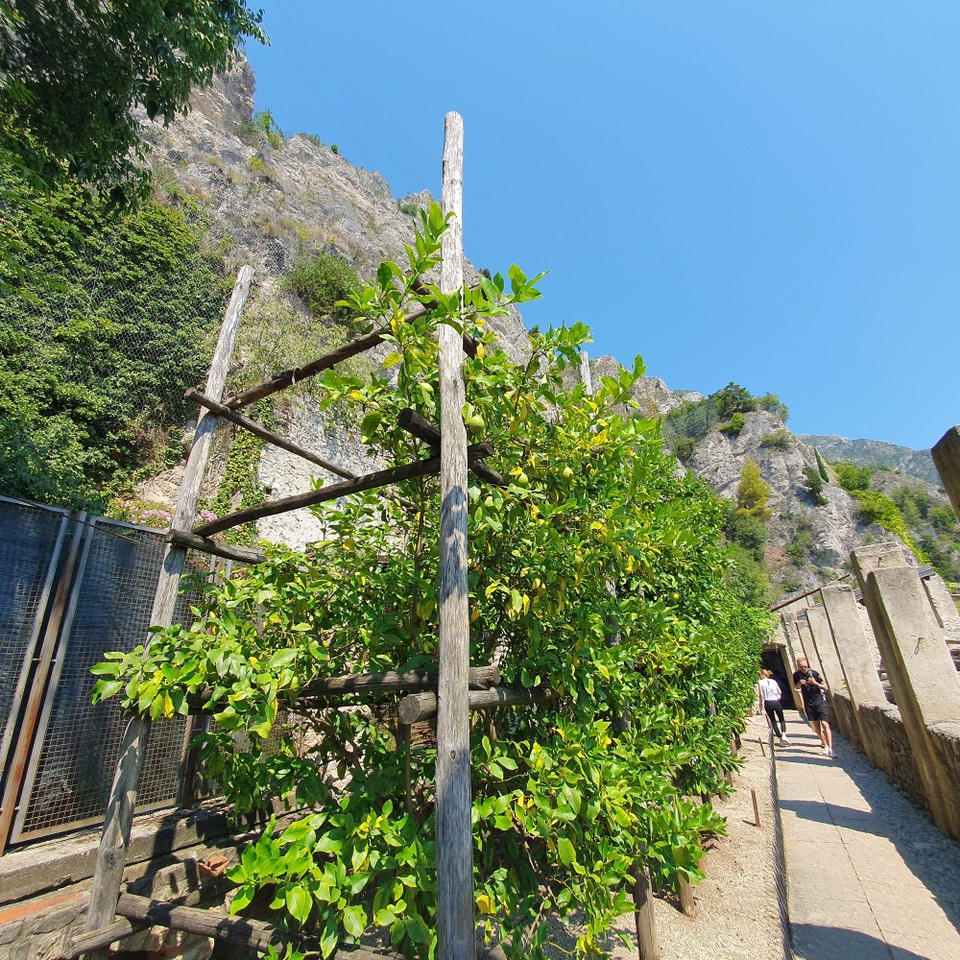 Italien - Limone Sul Garda - 