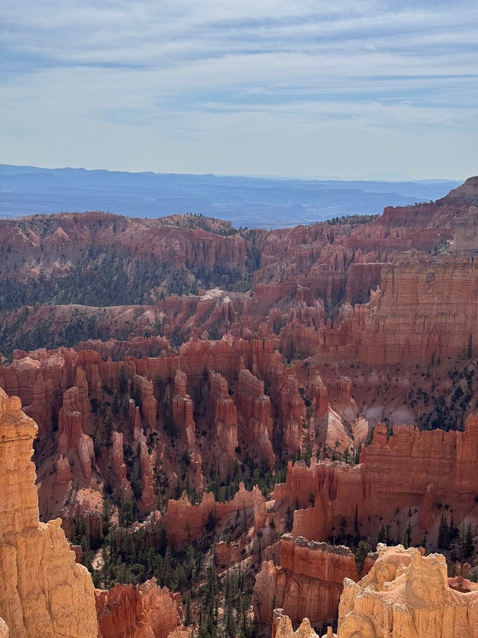 Vereinigte Staaten - Tropic - 