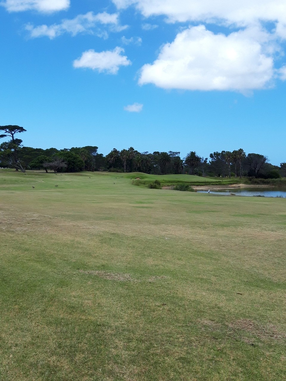 Südafrika - Port Elizabeth - Lach 8