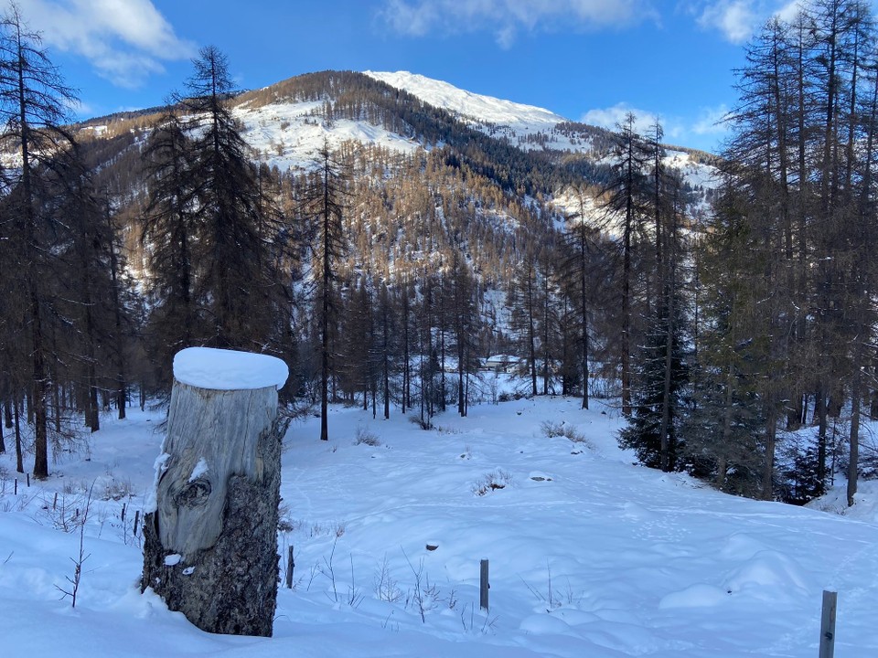 Schweiz - Sta. Maria V. M. - Winterwanderung nach Valchava 