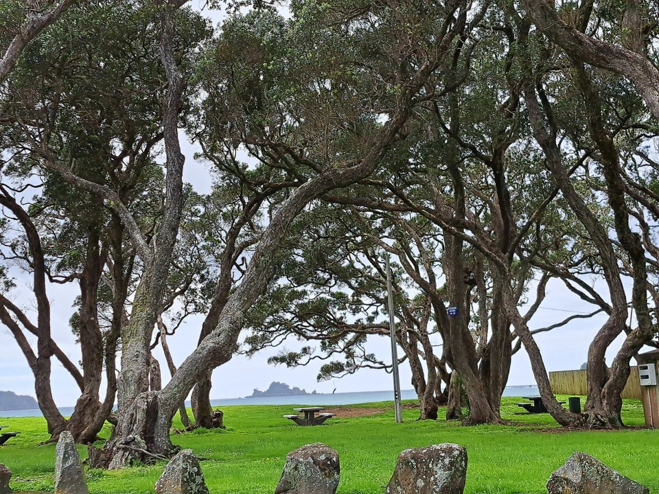 Neuseeland - Whangaruru Beach - Sicht zum Meer 