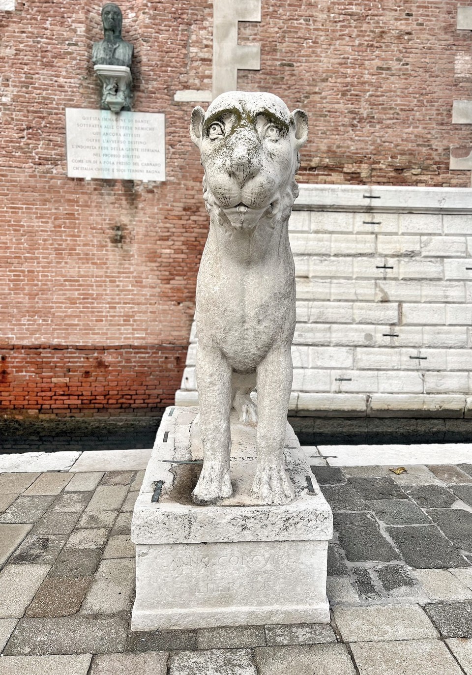 Italien - Venedig - Der Löwe schaut so süß!!!