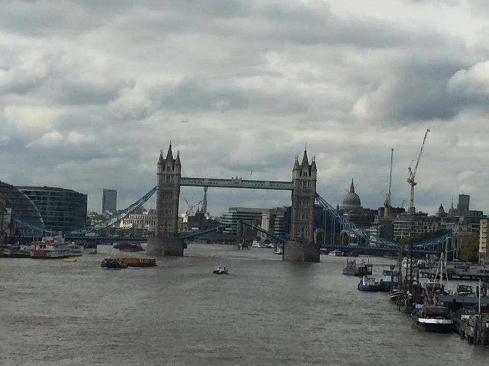  - United Kingdom, London, River Thames - The Tower Bridge gates opening for us. 